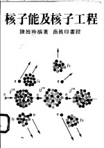 核子能及核子工程