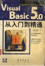 Visual Basic 5.0从入门到精通