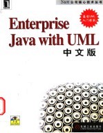 Enterprise Java with UML  中文版