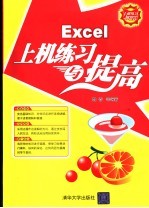 Excel上机练习与提高