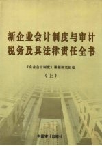 新企业会计制度与审计、税务及其法律责任实务全书  上