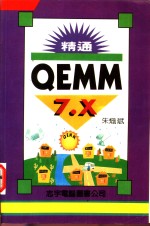 精通 QEMM 7.X