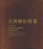 实用解剖图谱  四肢分册  下肢