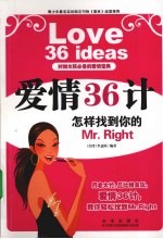 爱情36计：怎样找到你的 Mr. Right