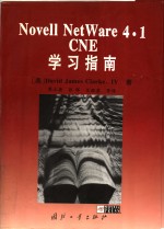 Novell NetWare 4.1 CNE 学习指南