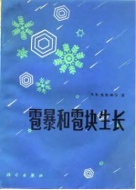 雹暴和雹块生长