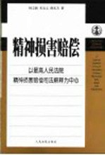 精神损害赔偿  以最高人民法院精神损害赔偿司法解释为中心