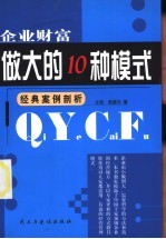 企业财富  做大的10种模式