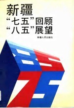 新疆“七五”回顾“八五”展望