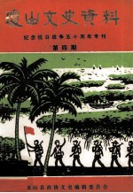 琼山文史资料 纪念抗日战争五十周年专刊 第四期