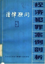 法律顾问：经济犯罪案例剖析