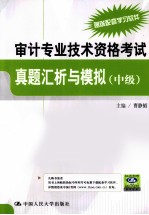 审计专业技术资格考试真题汇析与模拟  中级