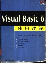 Visual Basic 6使用详解