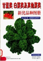 甘蓝类  白菜类及其他菜类新优品种图册