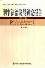 刑事法治发展研究报告  2004年卷