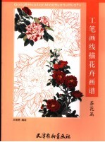 工笔画线描花卉画谱  茶花篇