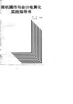 微机操作与会计电算化实践指导书