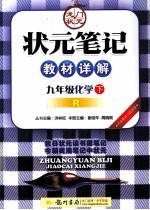 状元笔记教材详解  化学  九年级  下  R  配人教版