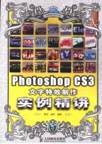 Photoshop CS3文字特效制作实例精讲 彩印