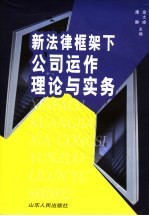 新法律框架下公司运作理论与实务