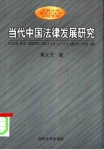 当代中国法律发展研究  模式、传统与过程