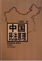 中国民法原理