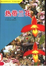 热带兰花  年宵花卉版