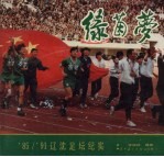 绿茵梦  ’85/’91辽沈足坛纪实  摄影集