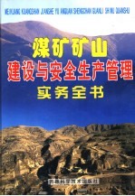 煤矿矿山建设与安全和平管理实务全书  第1卷