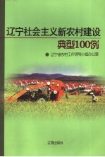 辽宁社会主义新农村建设典型100例