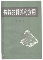 鹌鹑的饲养和食用