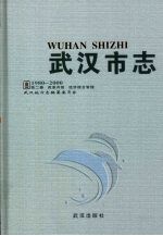 武汉市志  1980-2000  第2卷