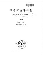 黑龙江统计年鉴  1999  总第13期