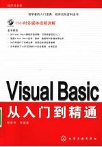 Visual Basic从入门到精通