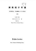 湖南统计年鉴  1999  总第17期