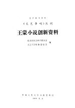 王蒙小说创新资料