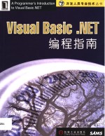 Visual Basic.NET编程指南