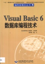 Visual Basic 6数据库编程技术