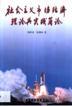 社会主义市场经济理论与实践简论