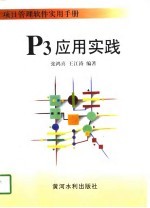 P3应用实践