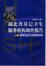 湖北省基层卫生服务机构调查报告  上  城市社区卫生服务机构