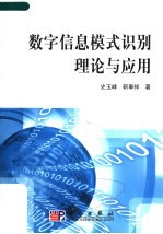 数字信息模式识别理论与应用