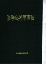 张学良将军画传