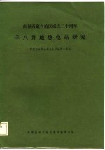 羊八井地热电站研究