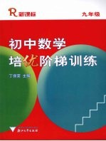 初中数学培优阶梯训练  九年级