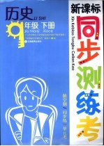 新课标同步测练考  历史  九年级  下