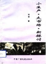 小生产、大市场、新探讨