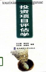 投资项目评估学