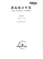 湖北统计年鉴  1999  总第15期