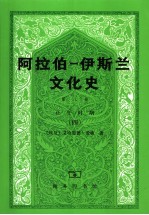 阿拉伯-伊斯兰文化史  第8册  正午时期  4